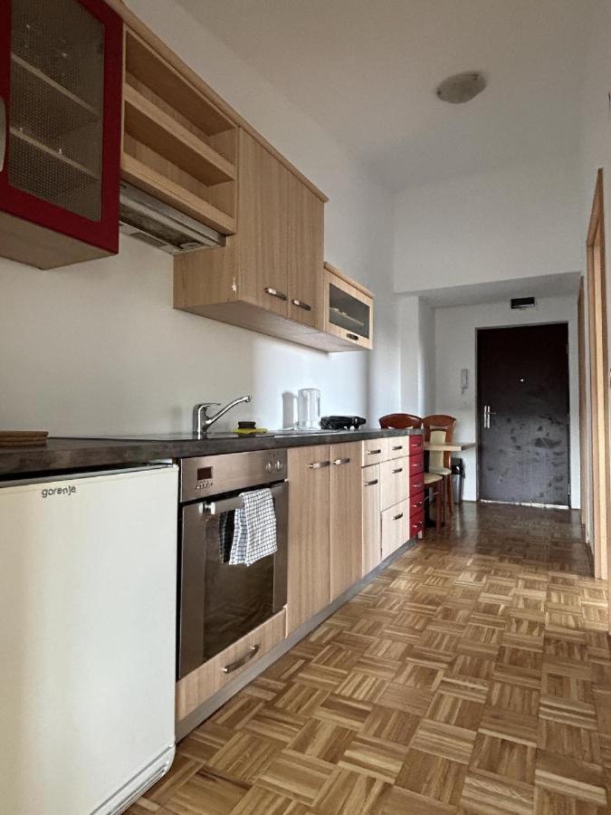 לובליאנה Apartma Lunca 3 מראה חיצוני תמונה